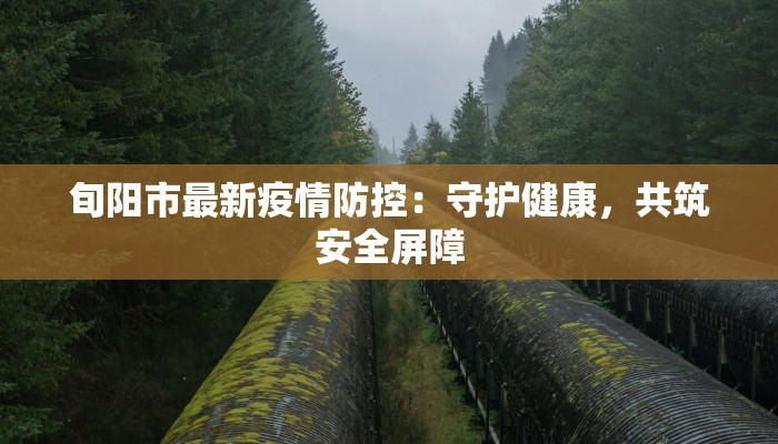 旬阳市最新疫情防控:守护健康,共筑安全屏障 旬阳市最新疫情防控:守护健康,共筑安全屏障