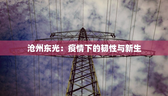 沧州东光：疫情下的韧性与新生
