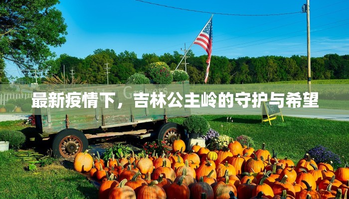 丰县今天最新通知疫情:科学防控,守护健康家园 丰县今天最新通知疫情:科学防控,守护健康家园