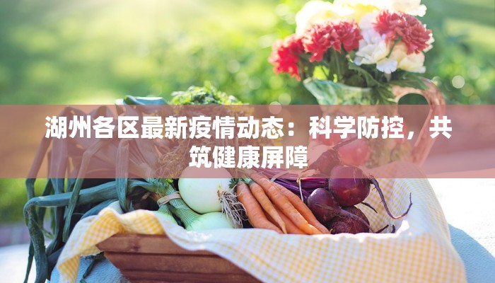 湖州各区最新疫情动态：科学防控，共筑健康屏障