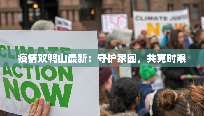 疫情双鸭山最新：守护家园，共克时艰