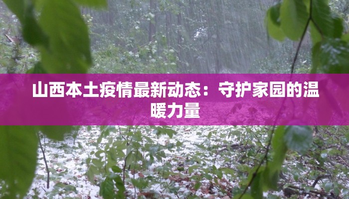 山西本土疫情最新动态:守护家园的温暖力量 山西本土疫情最新动态:守护家园的温暖力量
