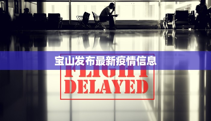 宝山发布最新疫情信息 宝山发布最新疫情信息