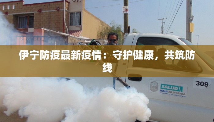 卢靖县最新消息疫情：守护家园，科学防控，共克时艰