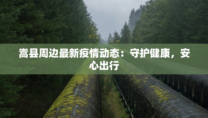 嵩县周边最新疫情动态：守护健康，安心出行