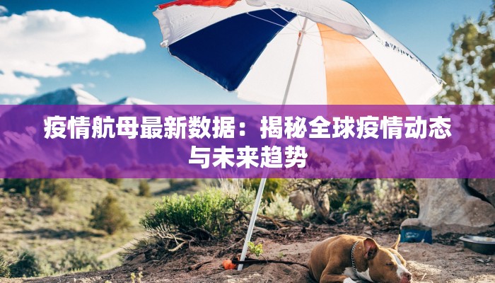 最新的哈市疫情通报 最新的哈市疫情通报