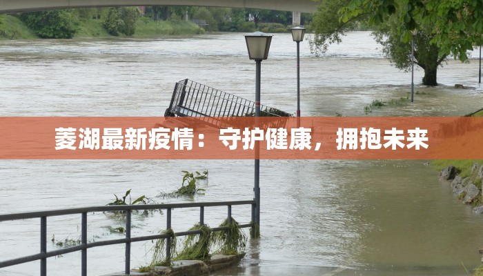 菱湖最新疫情:守护健康,拥抱未来 菱湖最新疫情:守护健康,拥抱未来