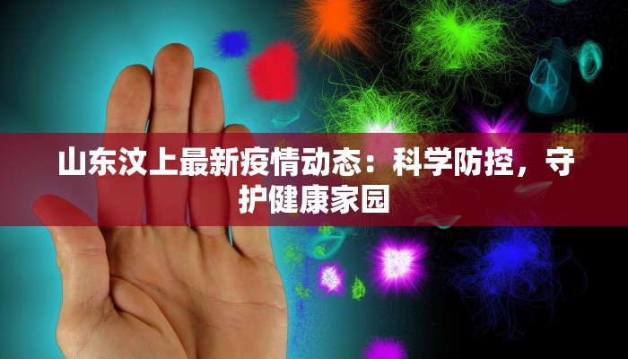 山东汶上最新疫情动态：科学防控，守护健康家园