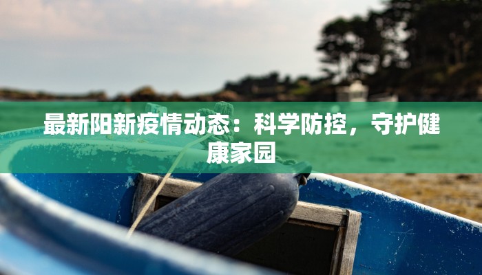 最新阳新疫情动态:科学防控,守护健康家园 最新阳新疫情动态:科学防控,守护健康家园