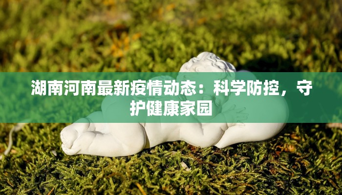 湖南河南最新疫情动态:科学防控,守护健康家园 湖南河南最新疫情动态:科学防控,守护健康家园