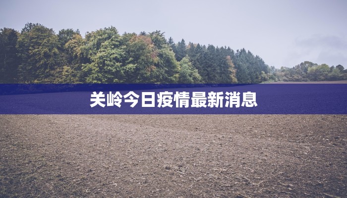 关庄最新疫情:守护家园,科学防控,共克时艰 关庄最新疫情:守护家园,科学防控,共克时艰