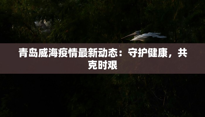 青岛威海疫情最新动态：守护健康，共克时艰