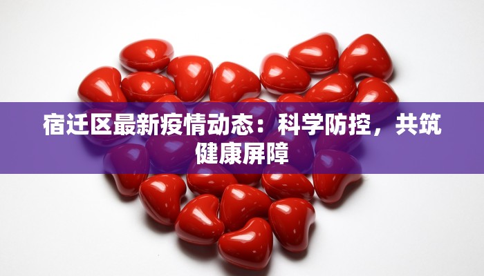 宿迁区最新疫情动态:科学防控,共筑健康屏障 宿迁区最新疫情动态:科学防控,共筑健康屏障