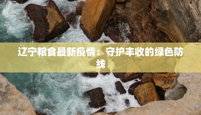 上海靖安疫情最新通报 上海靖安疫情最新通报