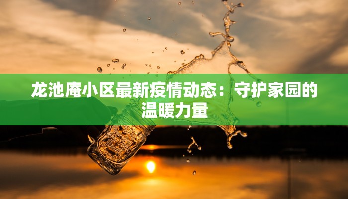 龙池庵小区最新疫情动态：守护家园的温暖力量