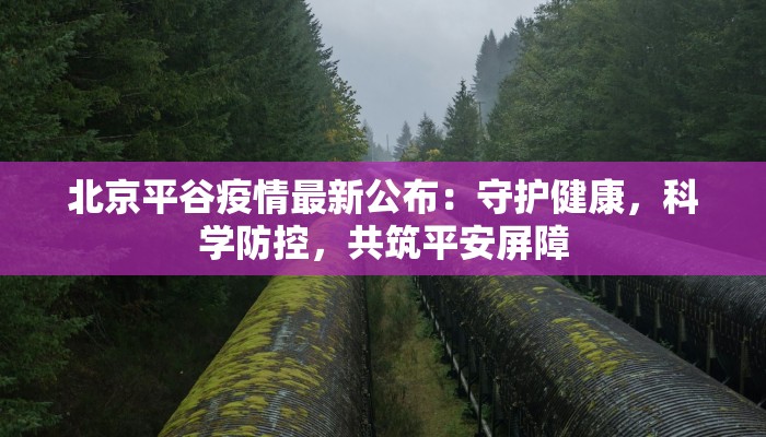 苏州石路国际疫情最新：安全重启，活力无限